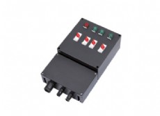 BDMX8050-系列防爆防腐控制箱（ⅡB、ⅡC、tD）